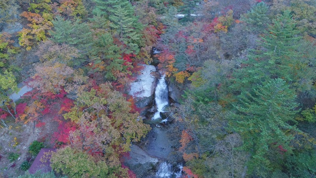 韩国江原道仁根县班太山的秋景视频素材