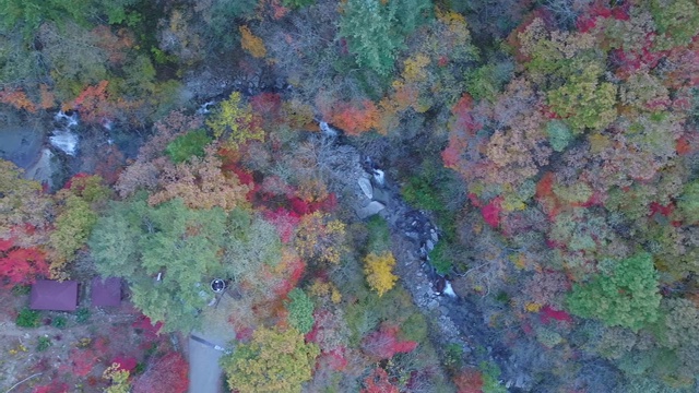 韩国江原道仁根县班太山的秋景视频素材