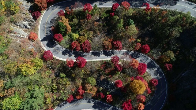 蜿蜒的道路穿过森林，丹阳枪，忠清北道，韩国视频素材