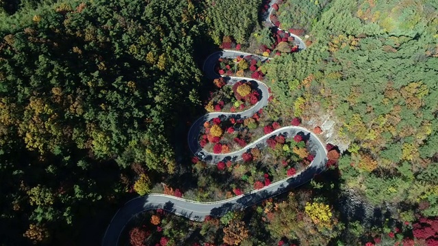 沿着蜿蜒的道路穿过丹阳枪森林，忠清北道，韩国视频素材