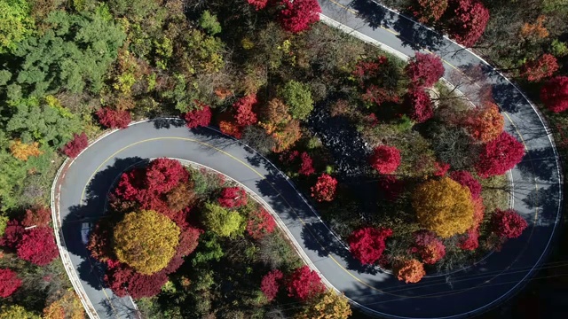 蜿蜒的道路穿过森林，丹阳枪，忠清北道，韩国视频素材