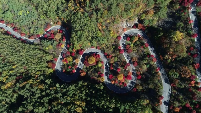 蜿蜒的道路穿过森林，丹阳枪，忠清北道，韩国视频素材