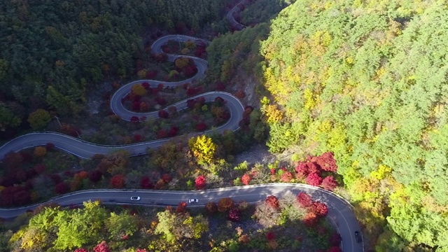 蜿蜒的道路穿过森林，丹阳枪，忠清北道，韩国视频素材