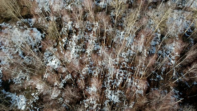 沼泽森林在早春与最后的冰雪，空中视频素材