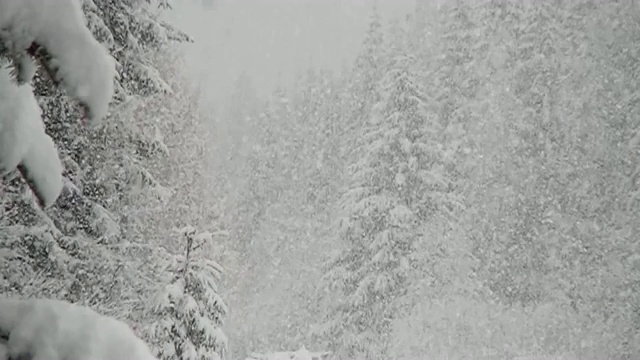 大雪纷飞，雪花缓缓飘动视频素材