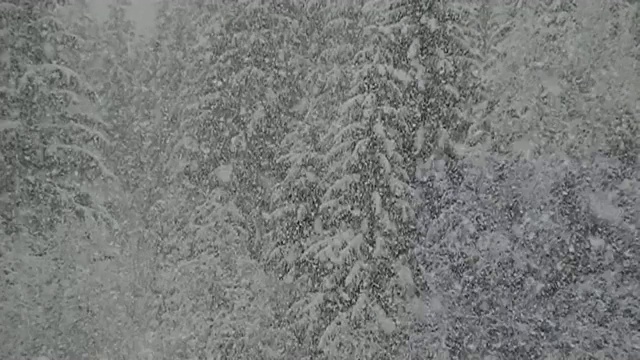 大雪纷飞，雪花缓缓飘动视频素材