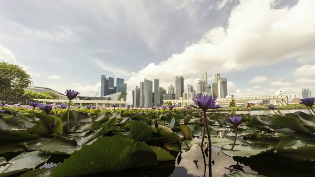 新加坡滨海湾视频素材