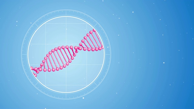 旋转的粉红色DNA分子。显微镜下的未来观视频素材