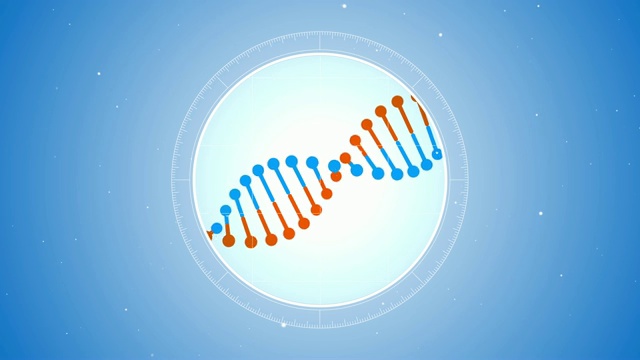 旋转的蓝橙色DNA分子。显微镜下的未来观视频素材