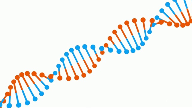 在白色背景上旋转蓝橙色的DNA分子视频素材