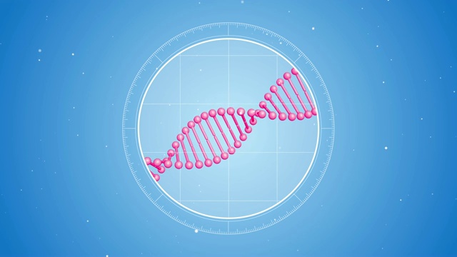 旋转的粉红色DNA分子。显微镜下的未来观视频素材