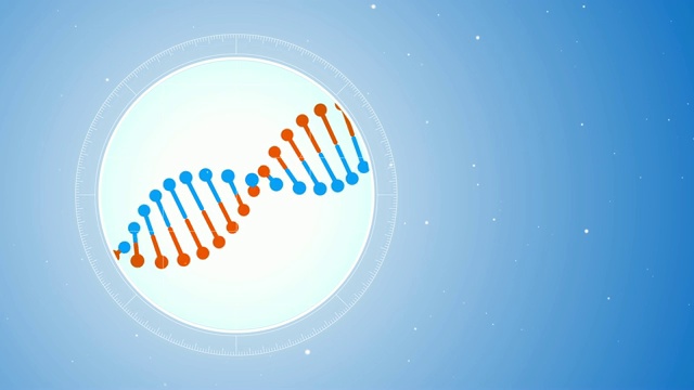 旋转的蓝橙色DNA分子。显微镜下的未来观视频素材