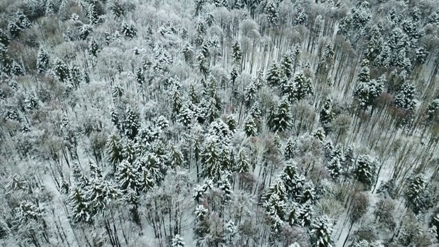 无人机在雪域上空飞行视频素材