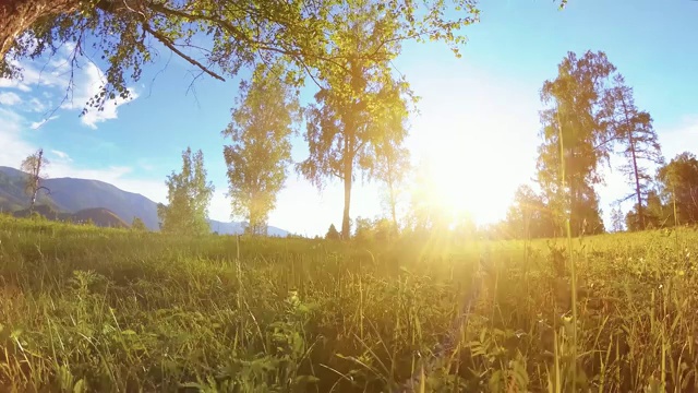 阳光明媚的乡村草地在山上景观与绿色的草，树木和阳光。电动滑块小车对角线移动视频素材