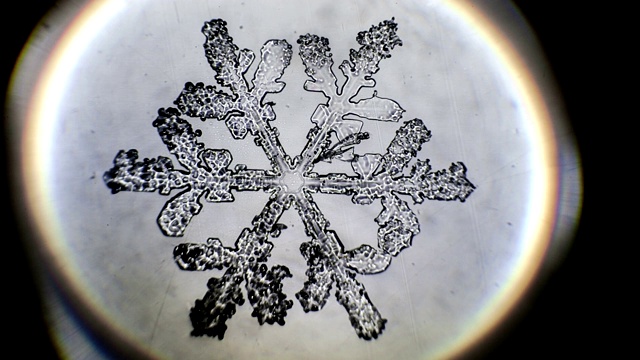 在显微镜下融化的雪花视频素材