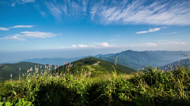 日三国家公园的野丹峰视频素材