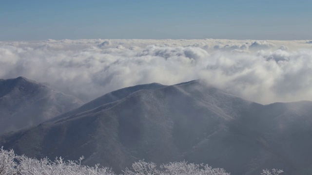 德姑山云海(国家公园)视频素材