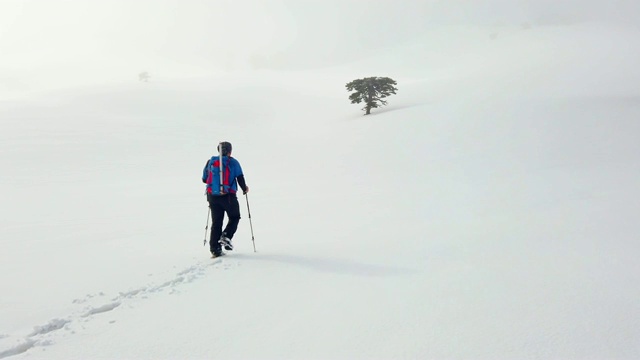 登山者冬天在森林里徒步旅行视频素材