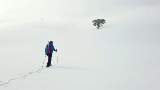 登山者冬天在森林里徒步旅行视频素材