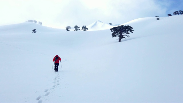 登山者冬天在森林里徒步旅行视频素材