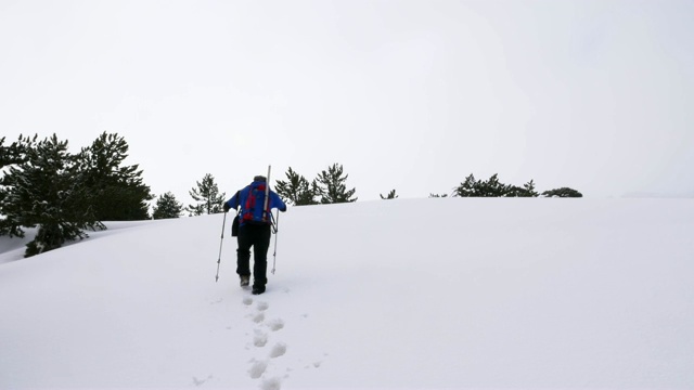 登山者冬天在森林里徒步旅行视频素材