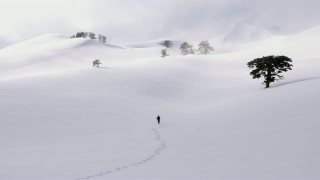 登山者冬天在森林里徒步旅行视频素材