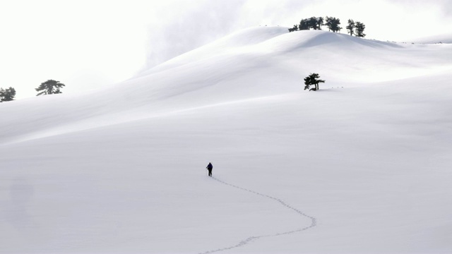 登山者冬天在森林里徒步旅行视频素材