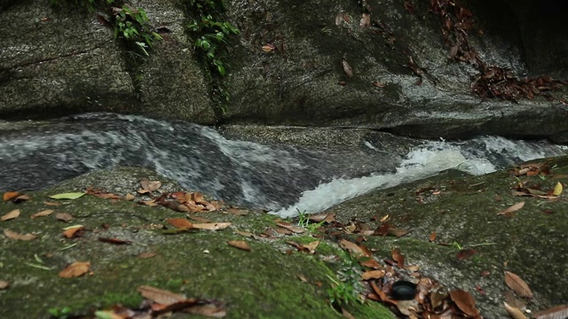 流视频素材