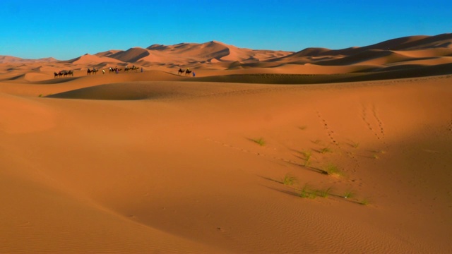 ERG冠军在Merzouga，摩洛哥视频素材