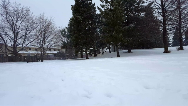 暴风雪暴风雪在郊区公园。郊区住宅区的自然雪景。下雪的北方天气景观与房屋。视频素材