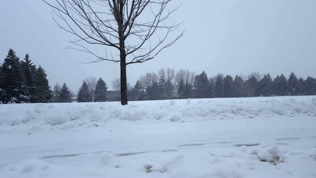 暴风雪暴风雪在郊区公园。郊区住宅区的自然雪景。下雪的北方天气景观与房屋。视频素材