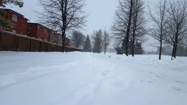 暴风雪暴风雪在郊区公园。郊区住宅区的自然雪景。下雪的北方天气景观与房屋。视频素材