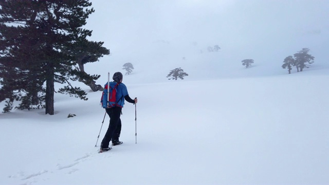 登山者冬天在森林里徒步旅行视频素材