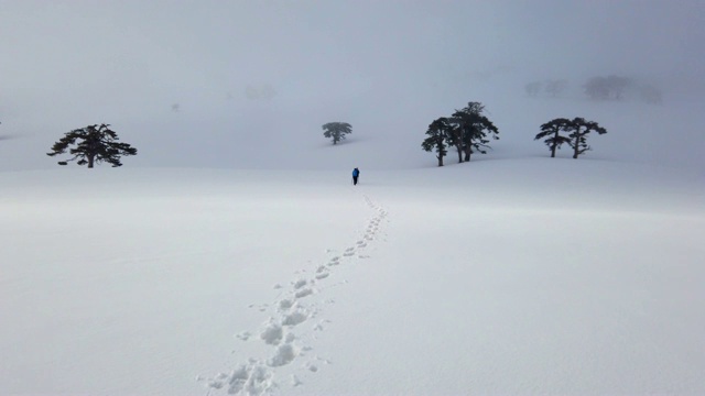 登山者冬天在森林里徒步旅行视频素材