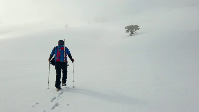 登山者冬天在森林里徒步旅行视频素材