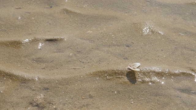 海水浅浅的海岸上自然涨潮和退潮的海洋效应由4K天视频素材