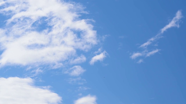 云和鸟在天空中的运动视频素材