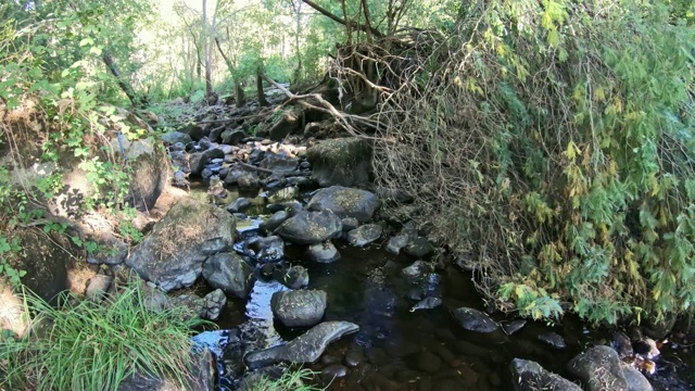 自然镜头，河流景观与岩石和树木在山上视频素材