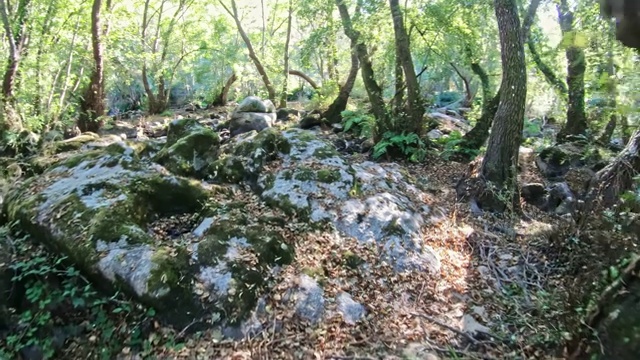 自然镜头，河流景观与岩石和树木在山上视频素材