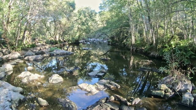 自然镜头，河流景观与岩石和树木在山上视频素材