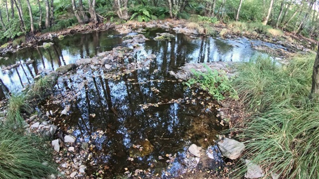 自然镜头，河流景观与岩石和树木在山上视频素材