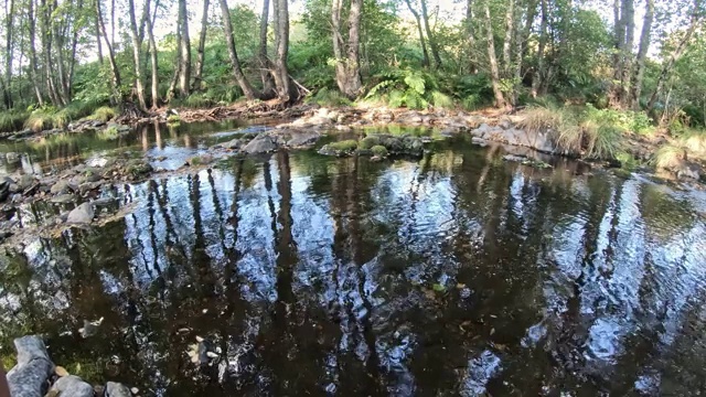 自然镜头，河流景观与岩石和树木在山上视频素材