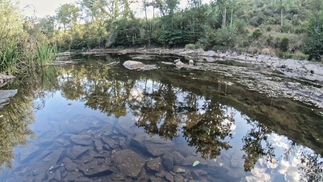 自然镜头，河流景观与岩石和树木在山上视频素材