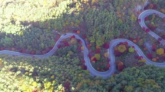 在韩国忠清北道丹阳郡蜿蜒的道路上，摩托车跟踪组的画面视频素材