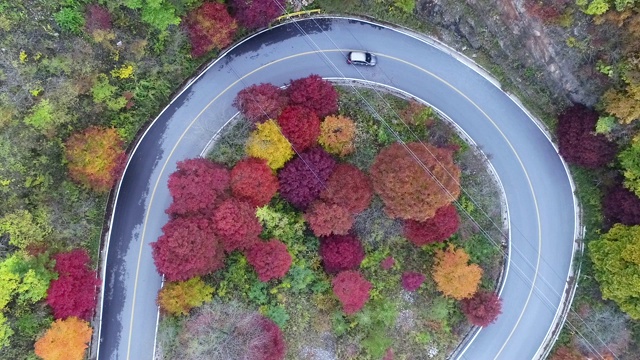 蜿蜒的道路穿过森林，丹阳枪，忠清北道，韩国视频素材