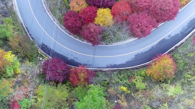 蜿蜒的道路穿过森林，丹阳枪，忠清北道，韩国视频素材