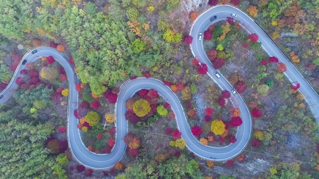 蜿蜒的道路穿过森林，丹阳枪，忠清北道，韩国视频素材