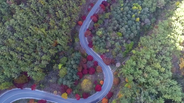 蜿蜒的道路穿过森林，丹阳枪，忠清北道，韩国视频素材