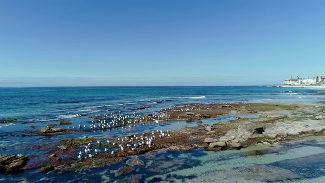 鸟瞰图飞过拉霍亚加利福尼亚的海岸线和海滩在阳光明媚的一天视频素材