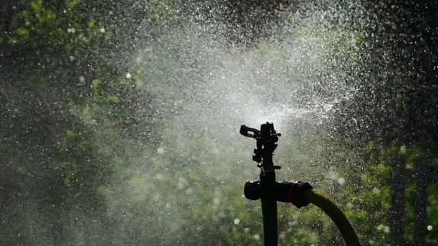 洒水系统把水喷到花园里的草地上。视频素材